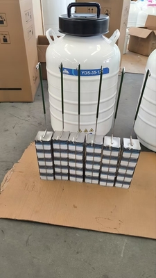 جودة  Portable Liquid Nitrogen Dry Shipper – Safe Transport of Cells and Tissues مصنع